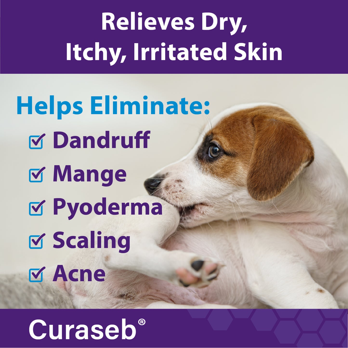 Curaseb Benzoyl Peroxide Shampoo 12oz