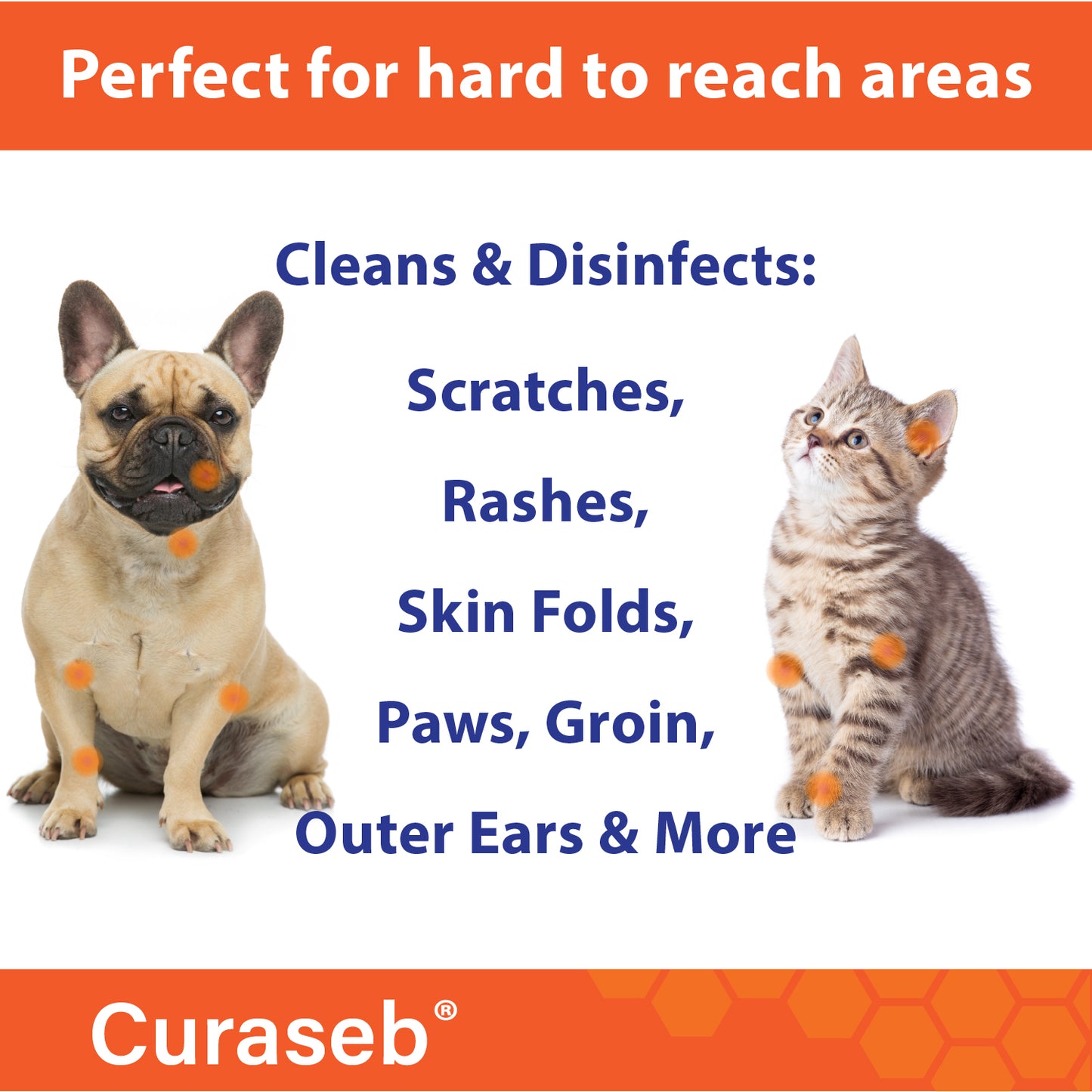 Curaseb Medicated Wipes XL for Dogs and Cats