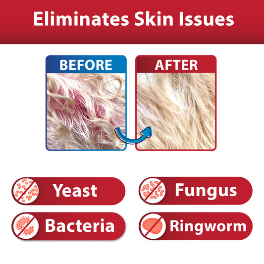 Curaseb Medicated Shampoo for Dogs & Cats 16oz