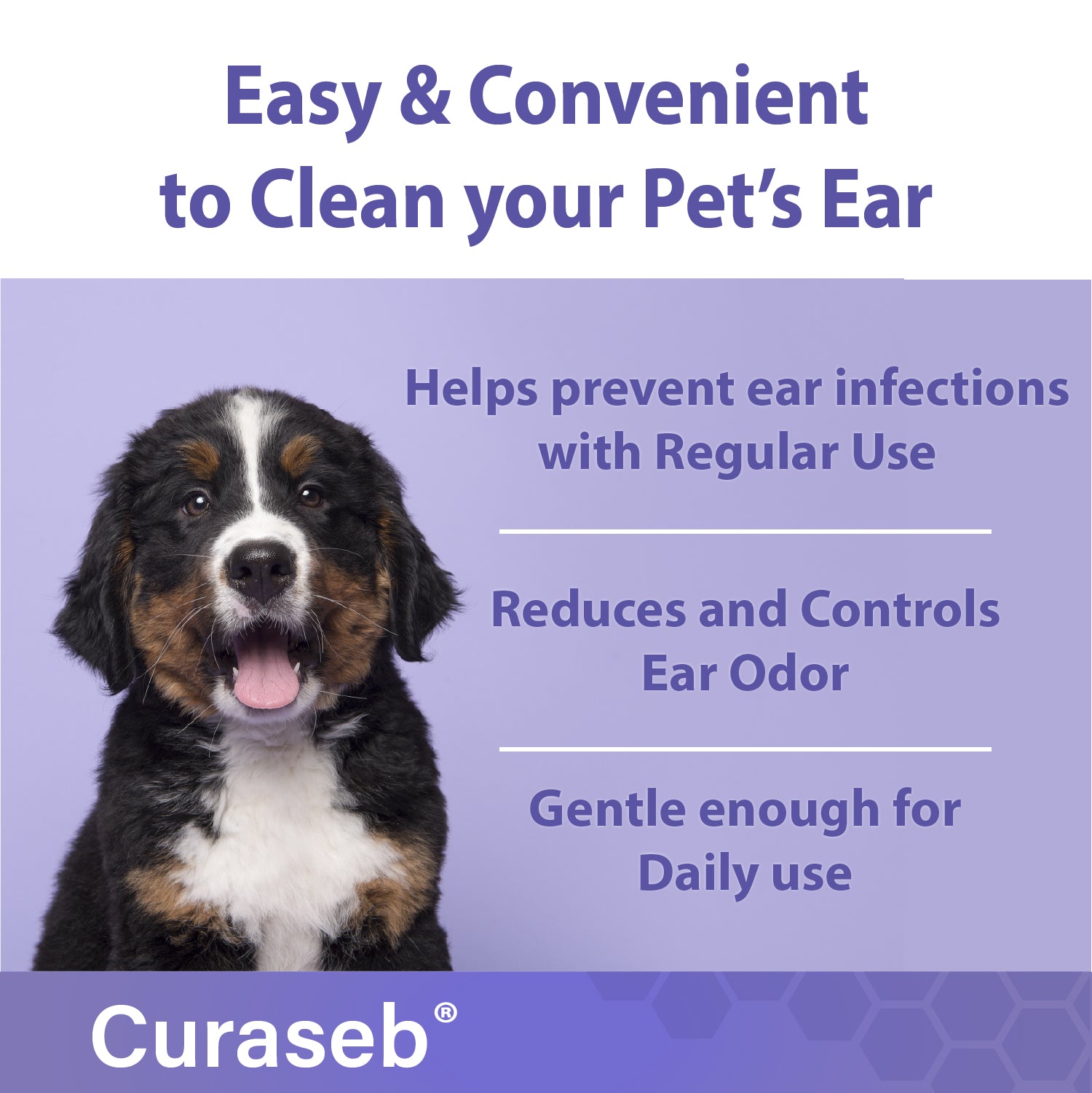 Curaseb dog ear clearance infection