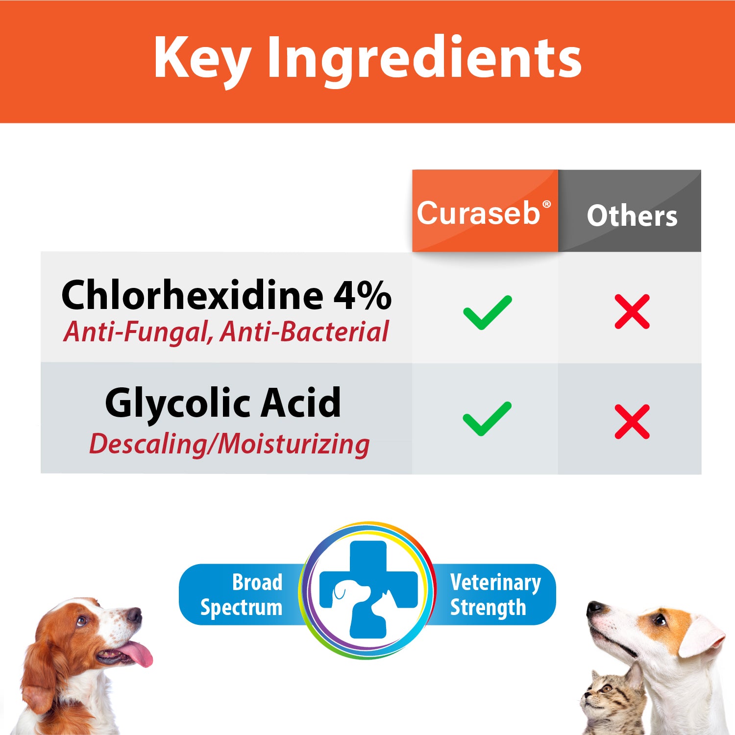 Chlorhexidine 4 2025 shampoo for dogs