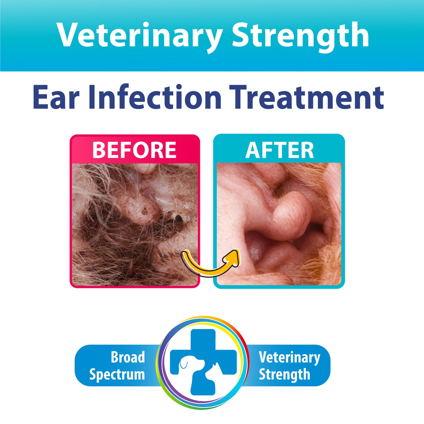 Curaseb Ear Infection Treatment for Dogs & Cats