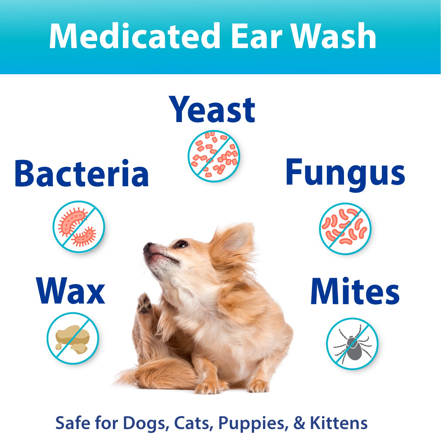 Ear wash for 2025 dog ear infection