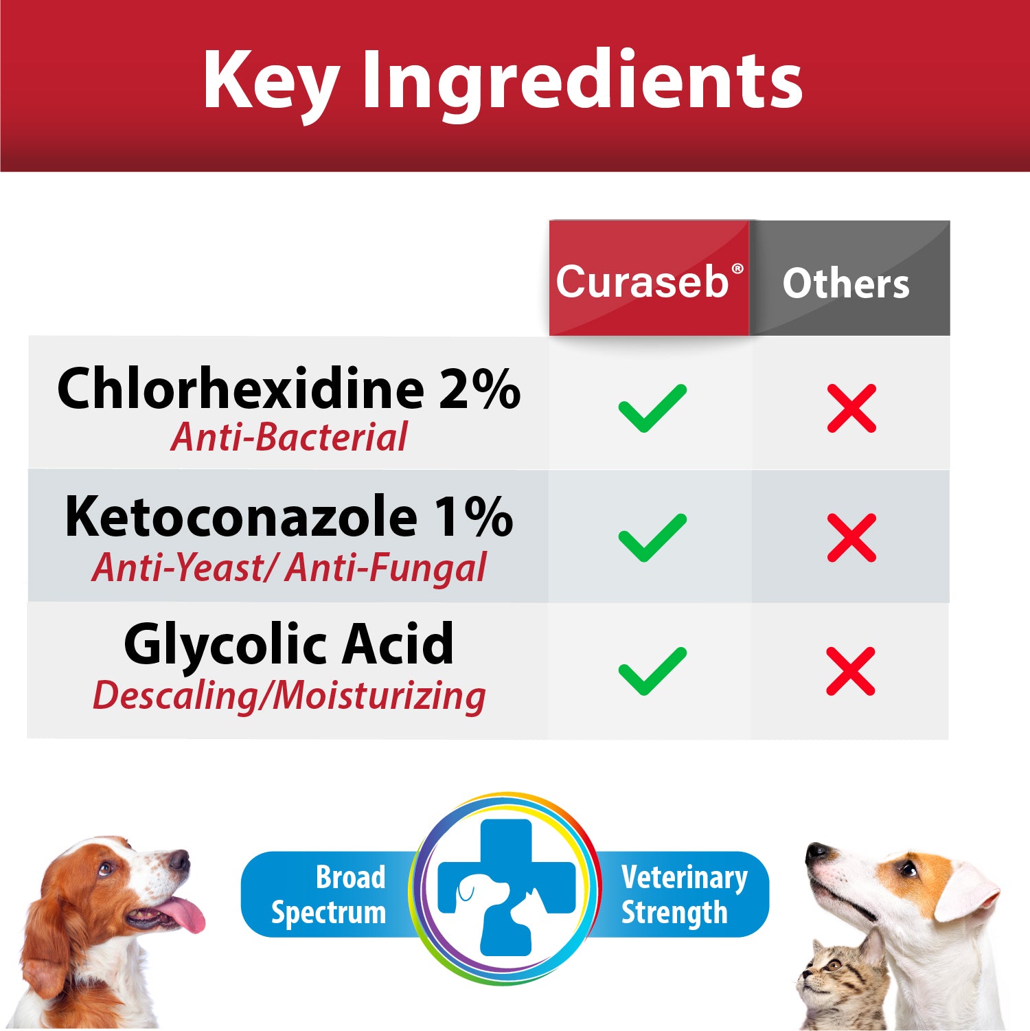 Curaseb Medicated Shampoo Chlorhexidine Ketoconazole for Dogs Cats